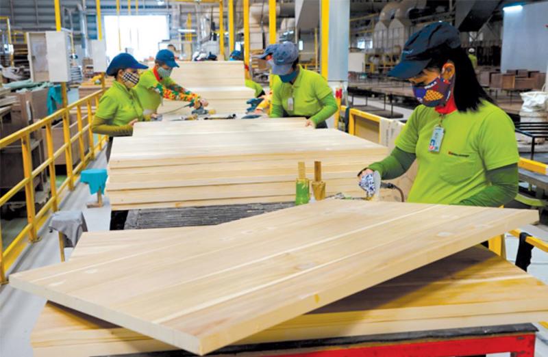 Doanh nghiệp FDI chiếm tới 48,3% tổng kim ngạch xuất khẩu toàn ngành gỗ